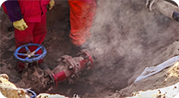 1753077223679002.png 请求重新生成(1)(1).png